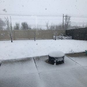 Meet your Posher, Bri